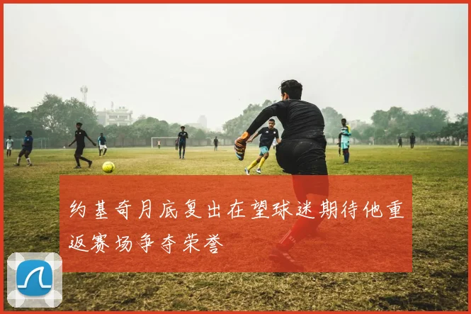 约基奇月底复出在望球迷期待他重返赛场争夺荣誉