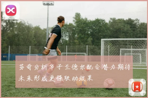 芬奇分析华子兰德尔配合潜力期待未来形成更强联动效果