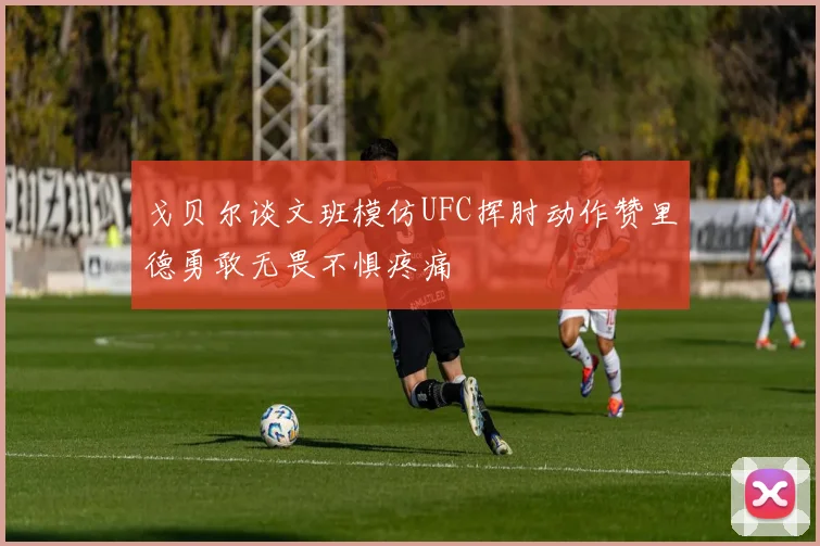 戈贝尔谈文班模仿UFC挥肘动作赞里德勇敢无畏不惧疼痛